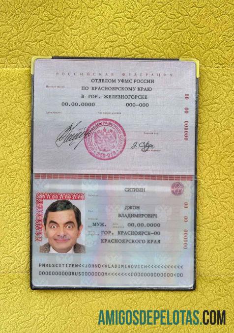 Aparência de foto de passaporte padrão da Rússia baixar para verificação